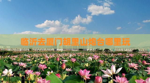 临沂去厦门胡里山炮台哪里玩