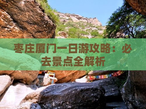 枣庄去厦门一日