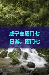 咸宁去厦门七日游