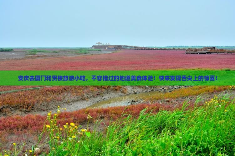 安庆去厦门和贵楼旅游小吃