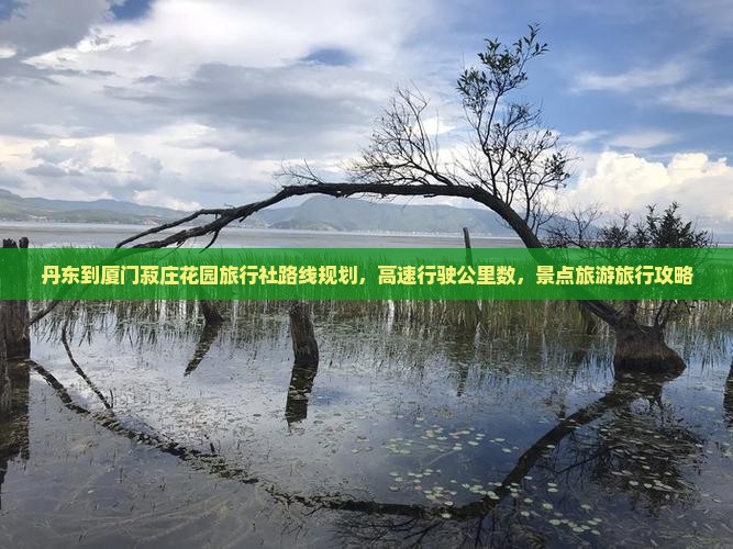丹东到厦门菽庄花园旅行社
