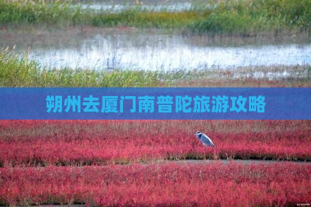 朔州去厦门南普陀景点