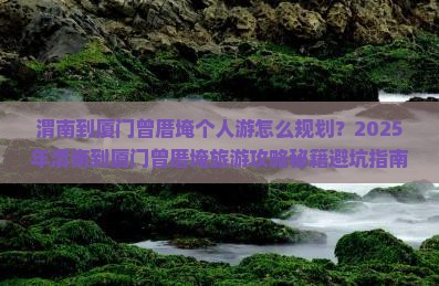 渭南到厦门曾厝埯个人游