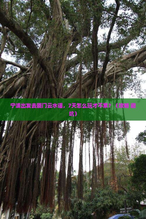 宁波到厦门云水谣七日游