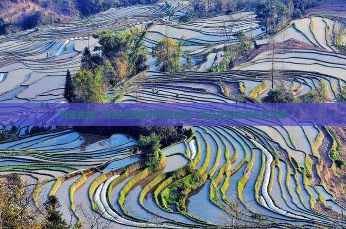 阿里去厦门菽庄花园旅游