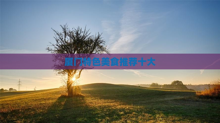巴中去厦门旅游小吃