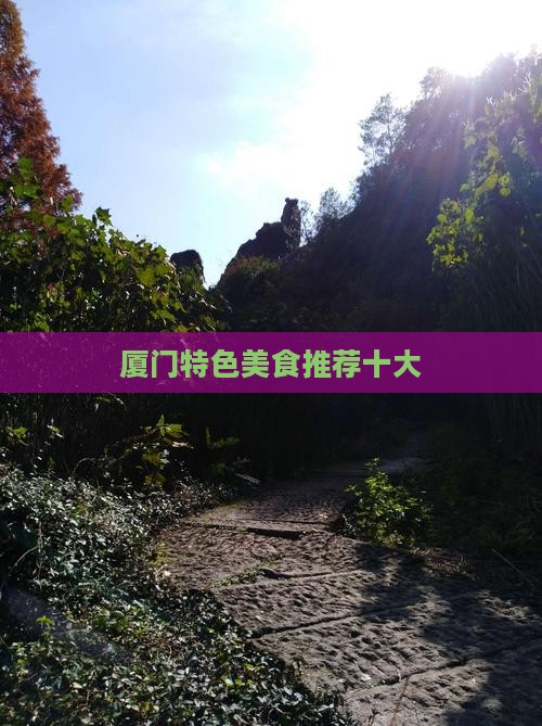 巴中去厦门旅游小吃