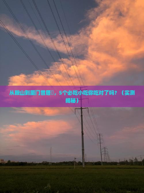 鞍山去厦门曾厝埯旅游小吃