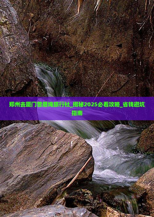 郑州去厦门曾厝埯旅行社