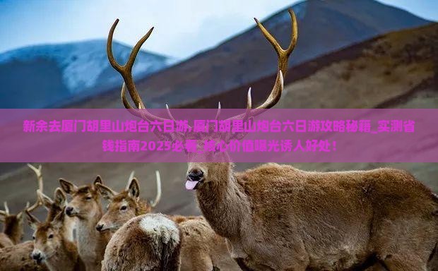 新余去厦门胡里山炮台六日游