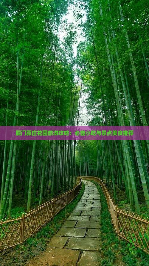 安庆去厦门菽庄花园旅游小吃