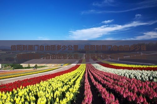 信阳到厦门自由团