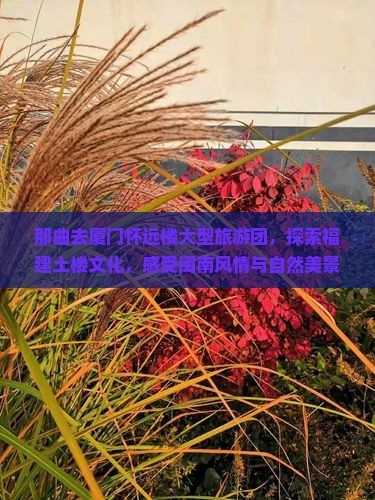 那曲去厦门怀远楼大型旅游团