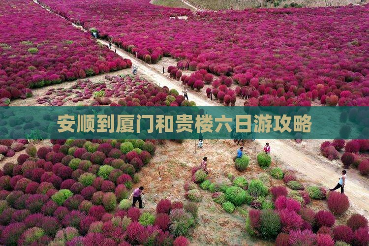 安顺到厦门和贵楼六日游