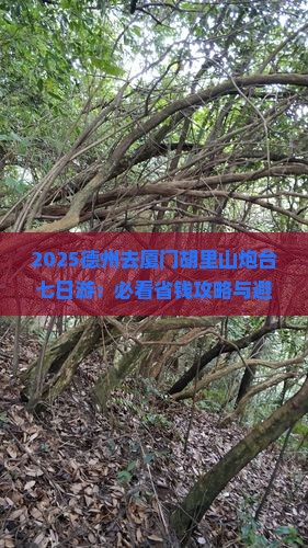 德州去厦门胡里山炮台七日游