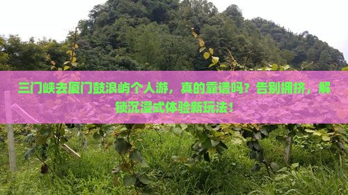 三门峡去厦门鼓浪屿个人游