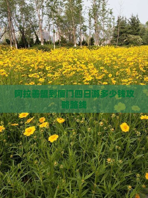 阿拉善盟到厦门四日游