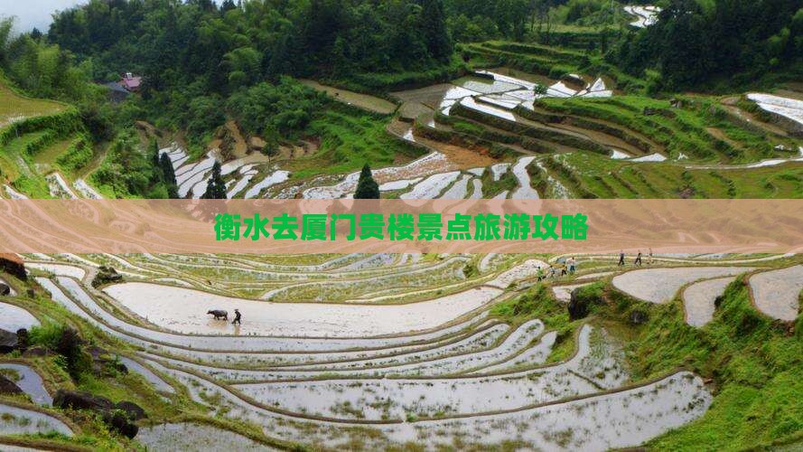 衡水去厦门和贵楼景点