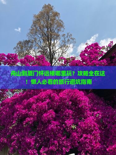 舟山到厦门怀远楼哪里玩
