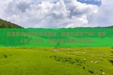 元旦到厦门鼓浪屿三日游