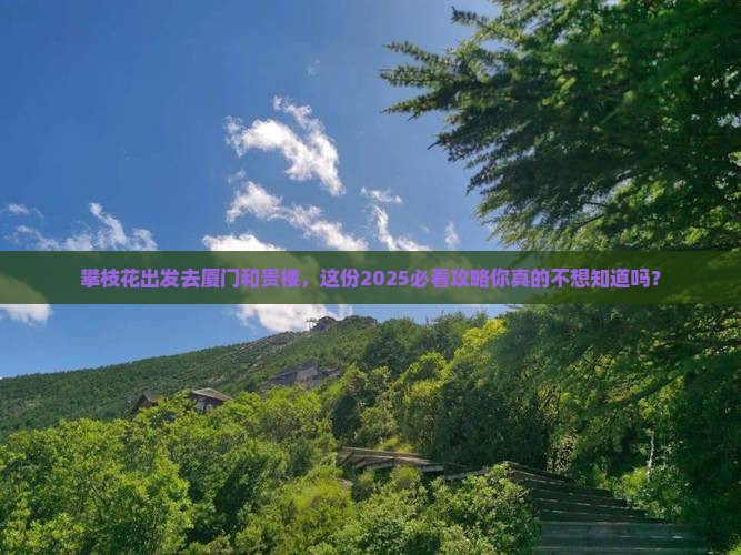 攀枝花去厦门和贵楼旅行社
