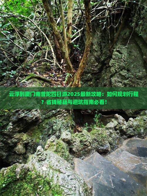 云浮到厦门南普陀四日游