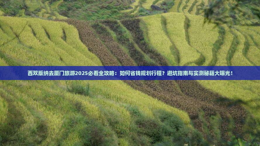 西双版纳去厦门旅游