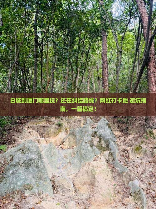 白城到厦门哪里玩