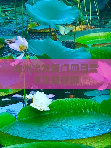 池州去厦门四日游
