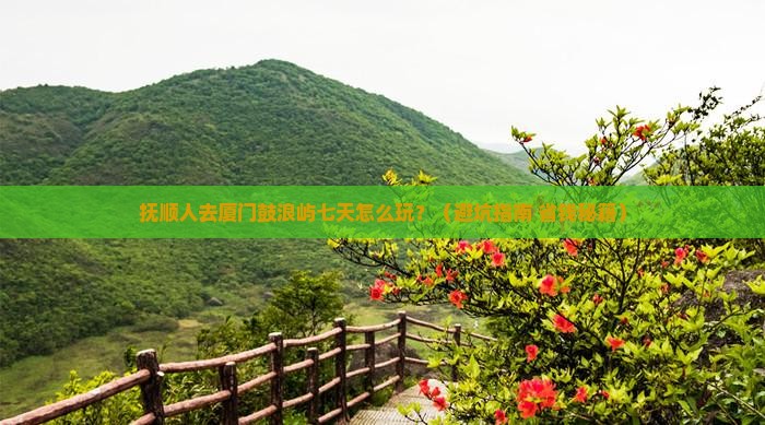 抚顺去厦门鼓浪屿七日游