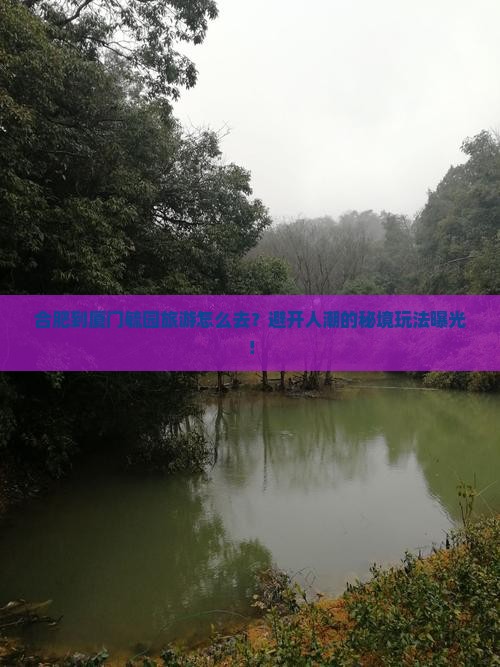 合肥到厦门毓园旅游