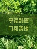 宁德到厦门和贵楼大型旅游团