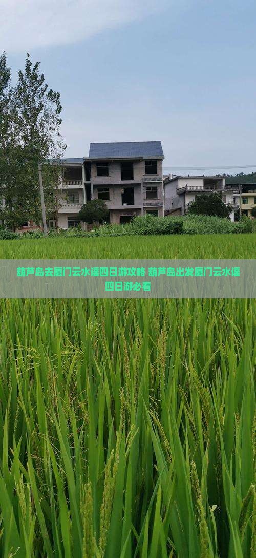 葫芦岛去厦门云水谣四日游