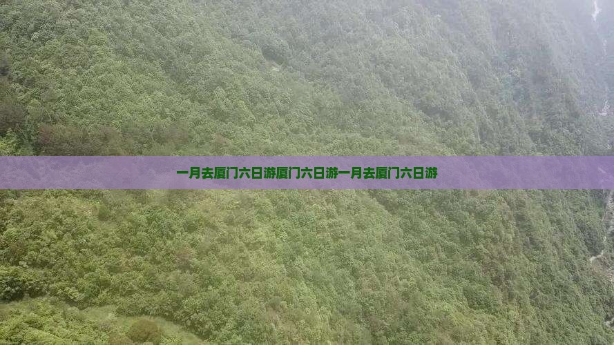 一月去厦门六日游