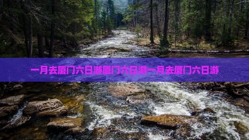 一月去厦门六日游