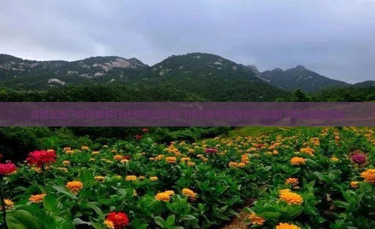 资阳去厦门怀远楼旅行社