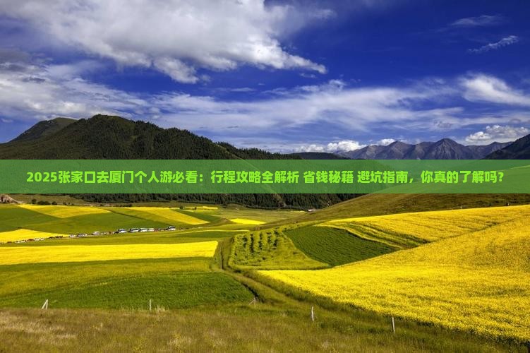 张家口去厦门个人游