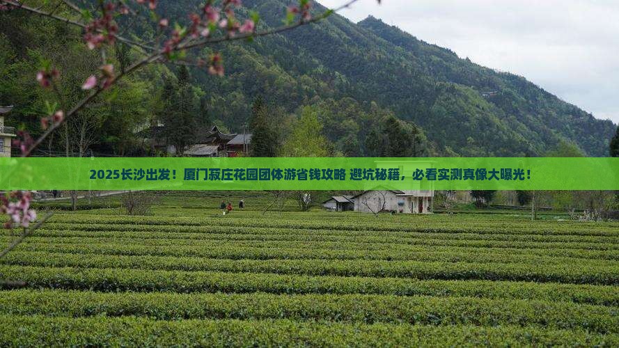 长沙到厦门菽庄花园团体旅游