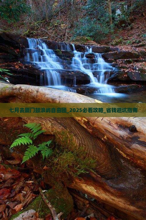 七月去厦门鼓浪屿自由团