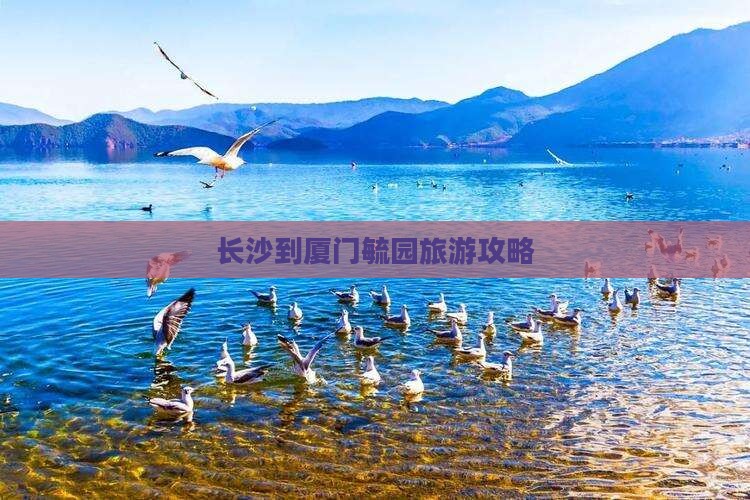长沙到厦门毓园旅行社