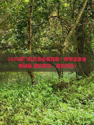 钦州去厦门五日游