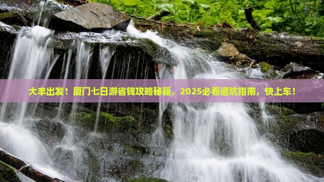 大丰去厦门七日游
