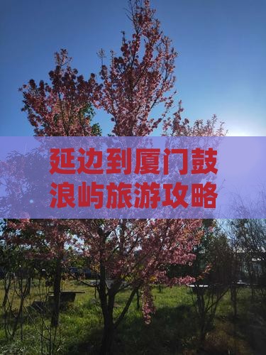 延边到厦门鼓浪屿个人游 延边到厦门鼓浪屿个人游