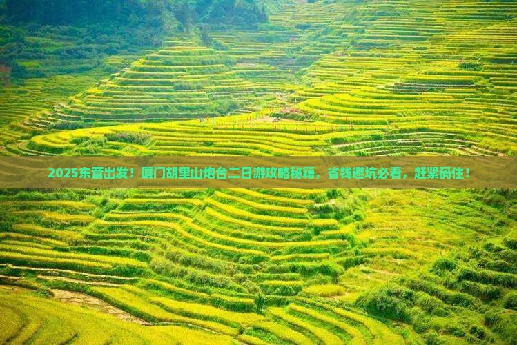 东营到厦门胡里山炮台二日游