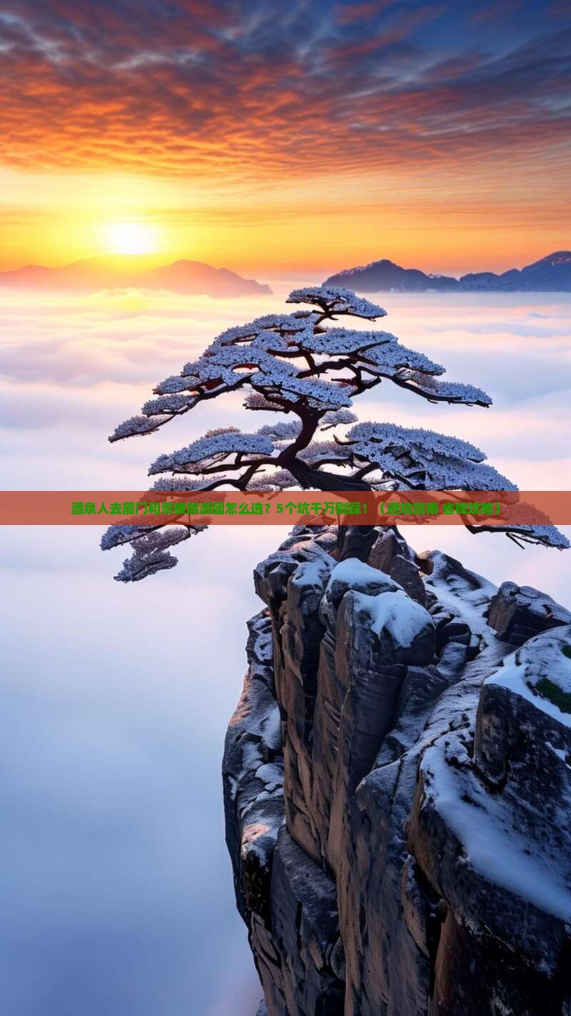 酒泉去厦门和贵楼大型旅游团