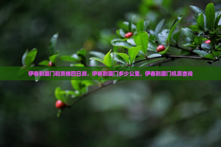 伊春到厦门和贵楼四日游