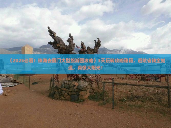 珠海去厦门大型旅游团
