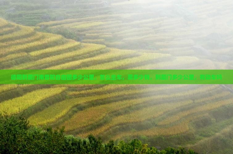 德阳到厦门南普陀自由团