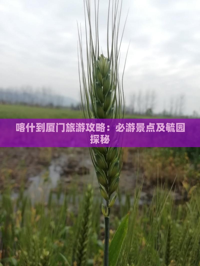 喀什到厦门毓园大型旅游团