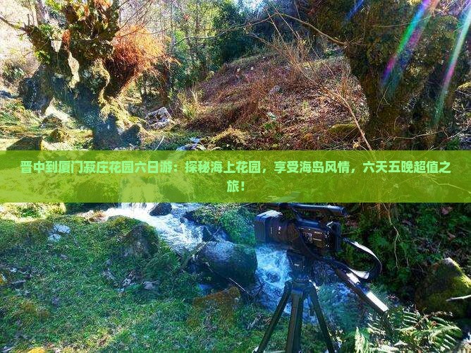 晋中到厦门菽庄花园六日游